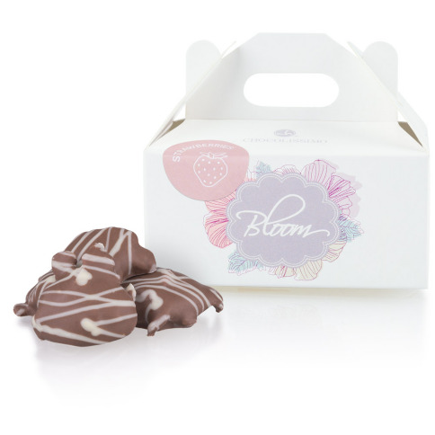 Chocolissimo - Lyofilizované jahody v mléčné čokoládě 60 g