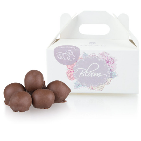 Chocolissimo - Oříšky v mléčné čokoládě 65 g