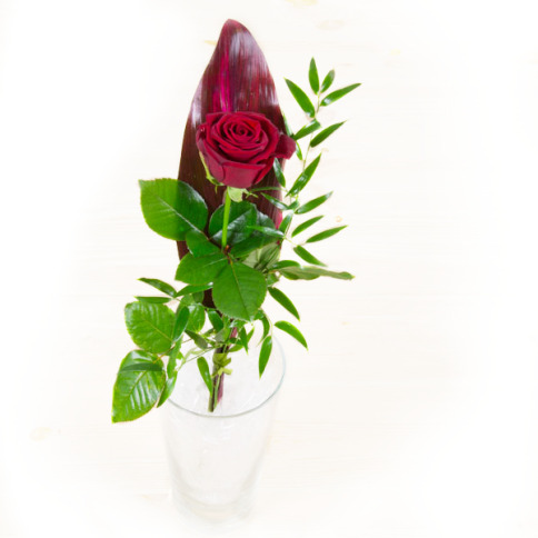 Chocolissimo - Červnená růže - květinové aranžmá 0.0