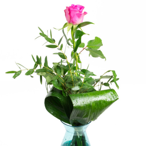 Chocolissimo - Růžová růže květinové aranžmá 0.0